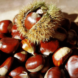 Chestnuts