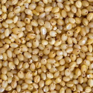 Millet